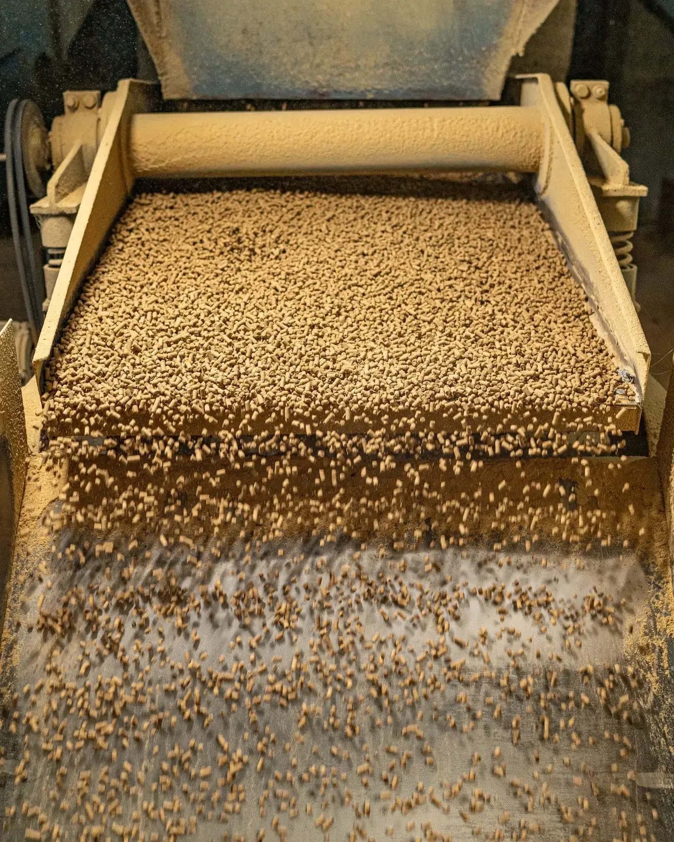Seed Selection